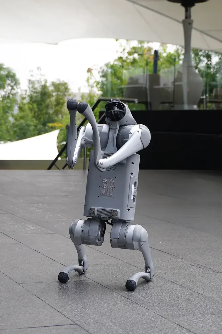 Robot cuadrúpedo interactuando con el público
